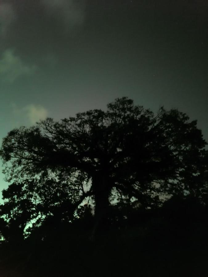 La Ceiba Tree Lodge Tilaran Luaran gambar