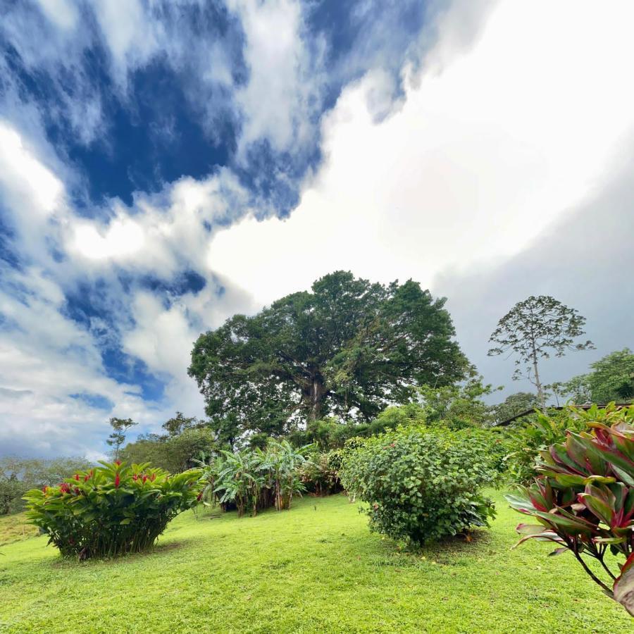 La Ceiba Tree Lodge Tilaran Luaran gambar