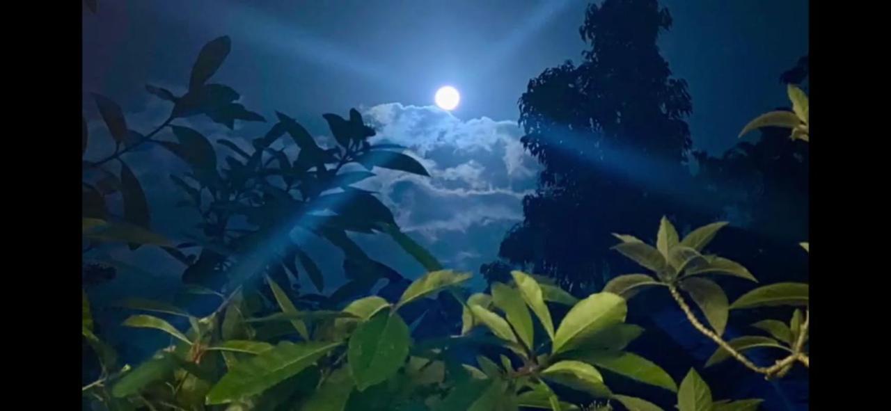 La Ceiba Tree Lodge Tilaran Luaran gambar